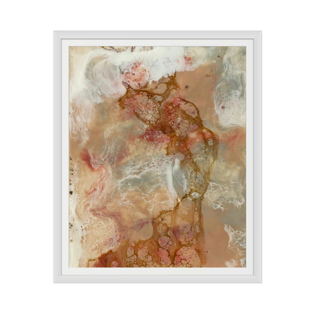 Coral Lace I