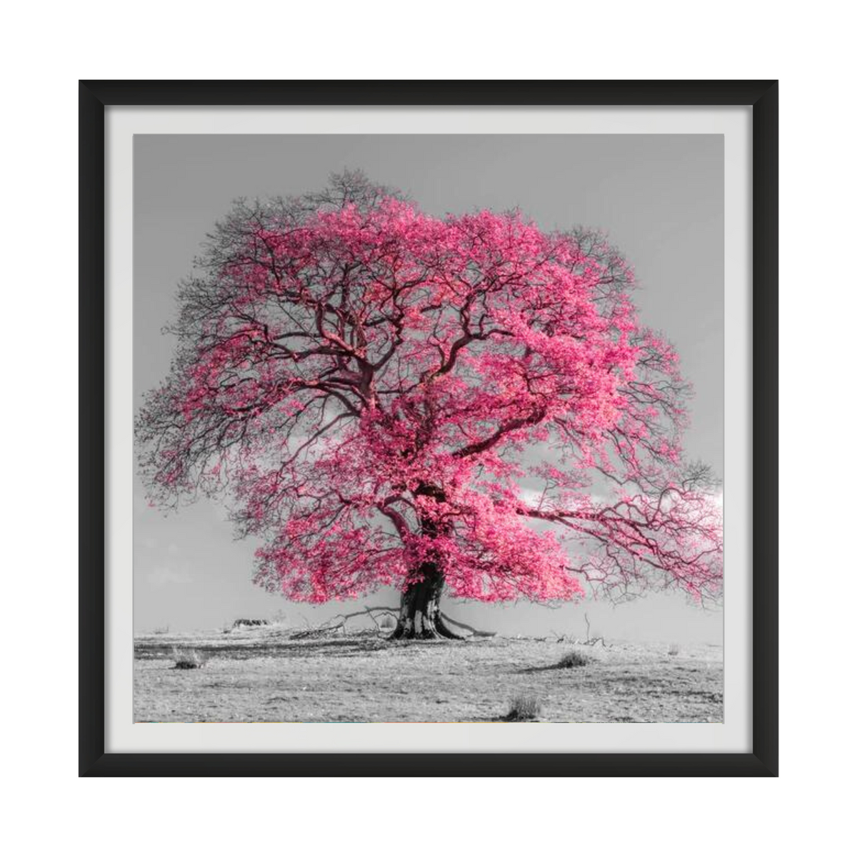 Tree on a hill, pink