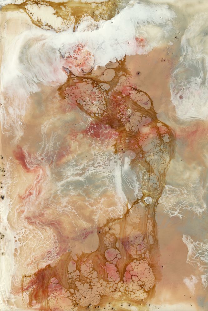 Coral Lace I