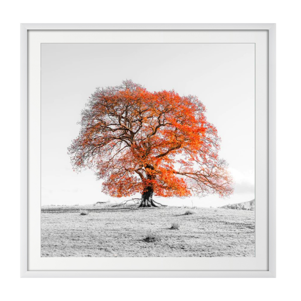 Tree on a hill, orange