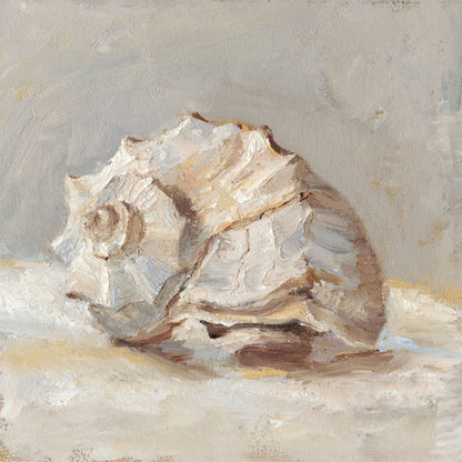 Impressionist Shell Study II