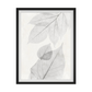 Distilled Botanicals 2