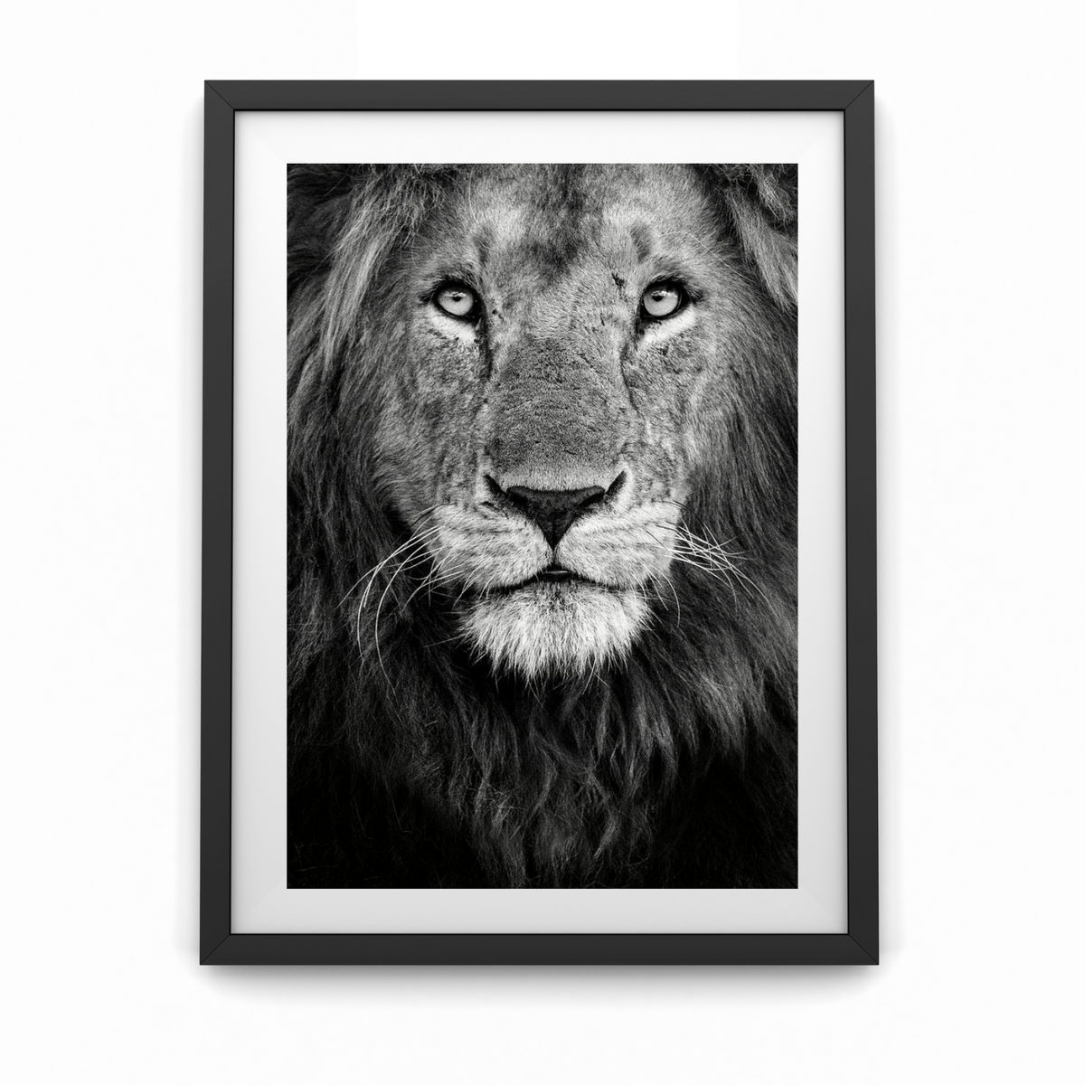 Royal portrait