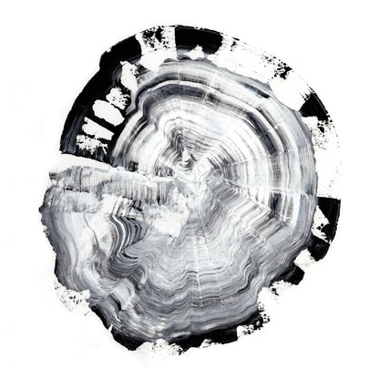 Tree Ring Abstract III