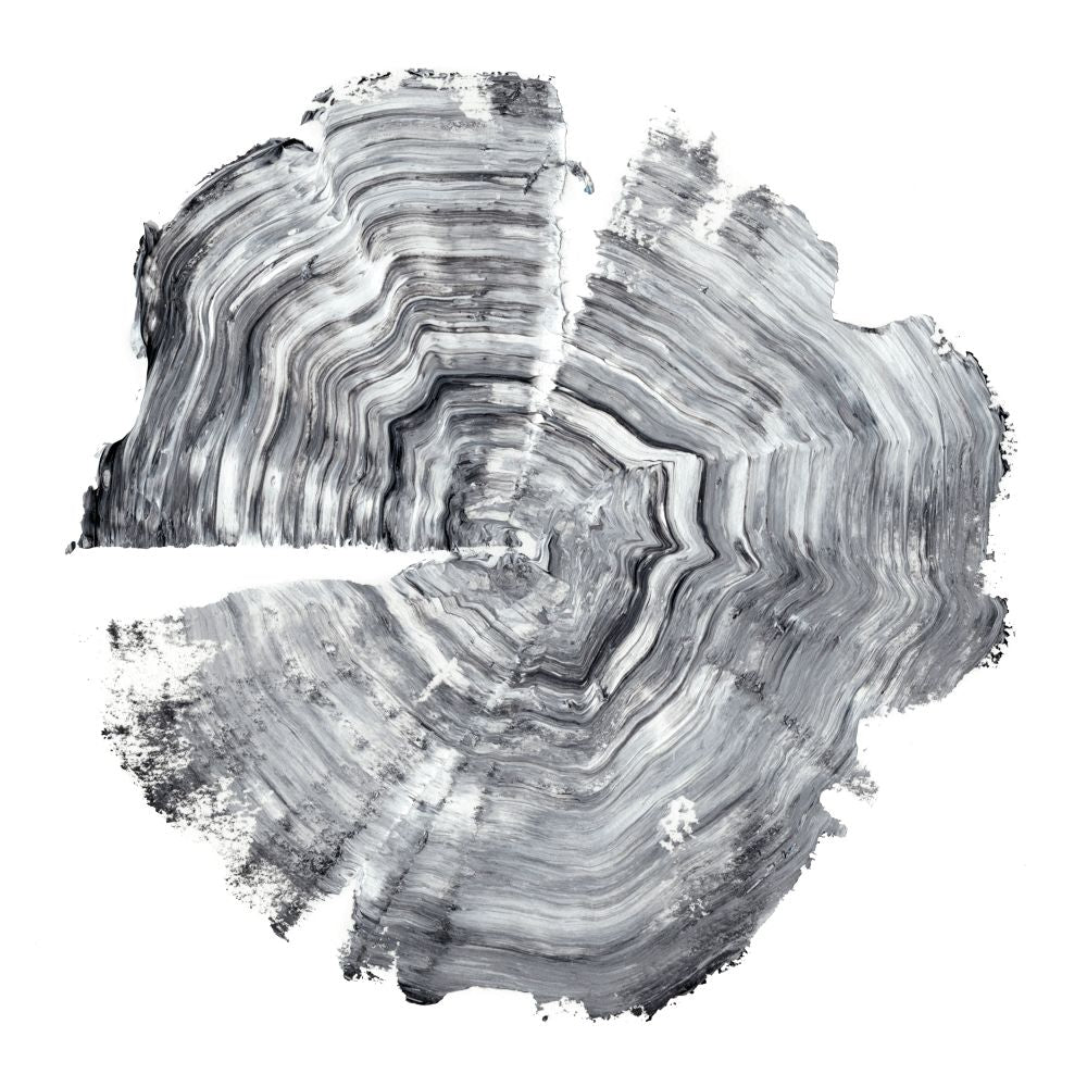 Tree Ring Abstract IV