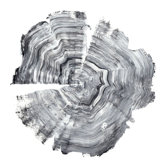 Tree Ring Abstract IV