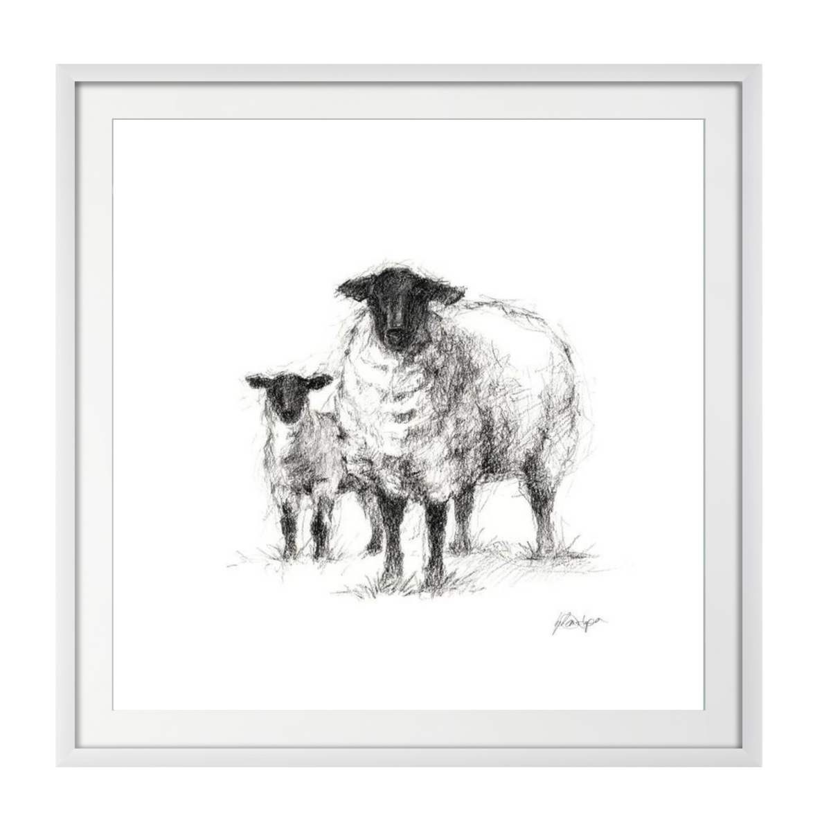 Charcoal Sheep Study I