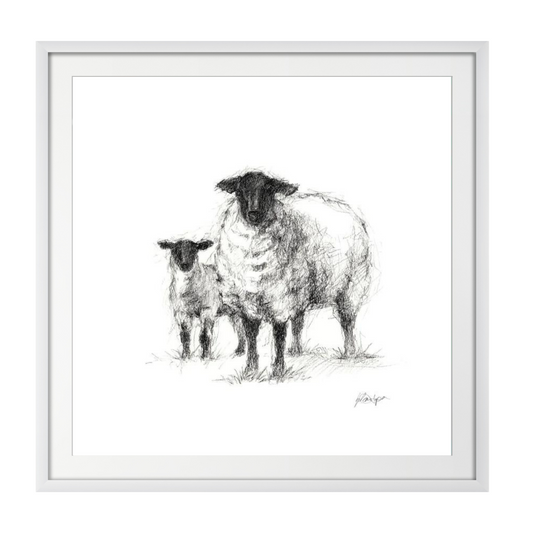 Charcoal Sheep Study I