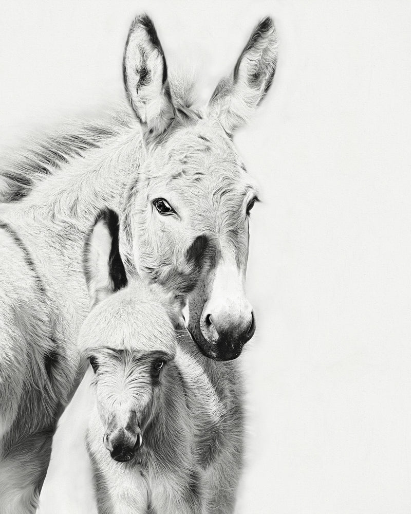 Donkey Portrait V