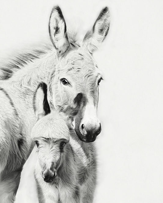Donkey Portrait V