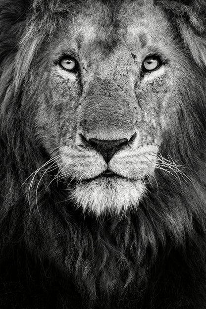 Royal portrait