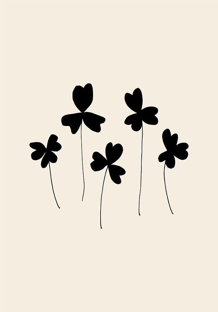 Black Sorrel
