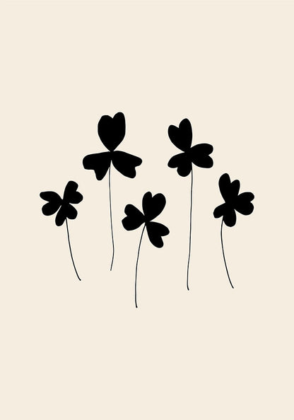 Black Sorrel