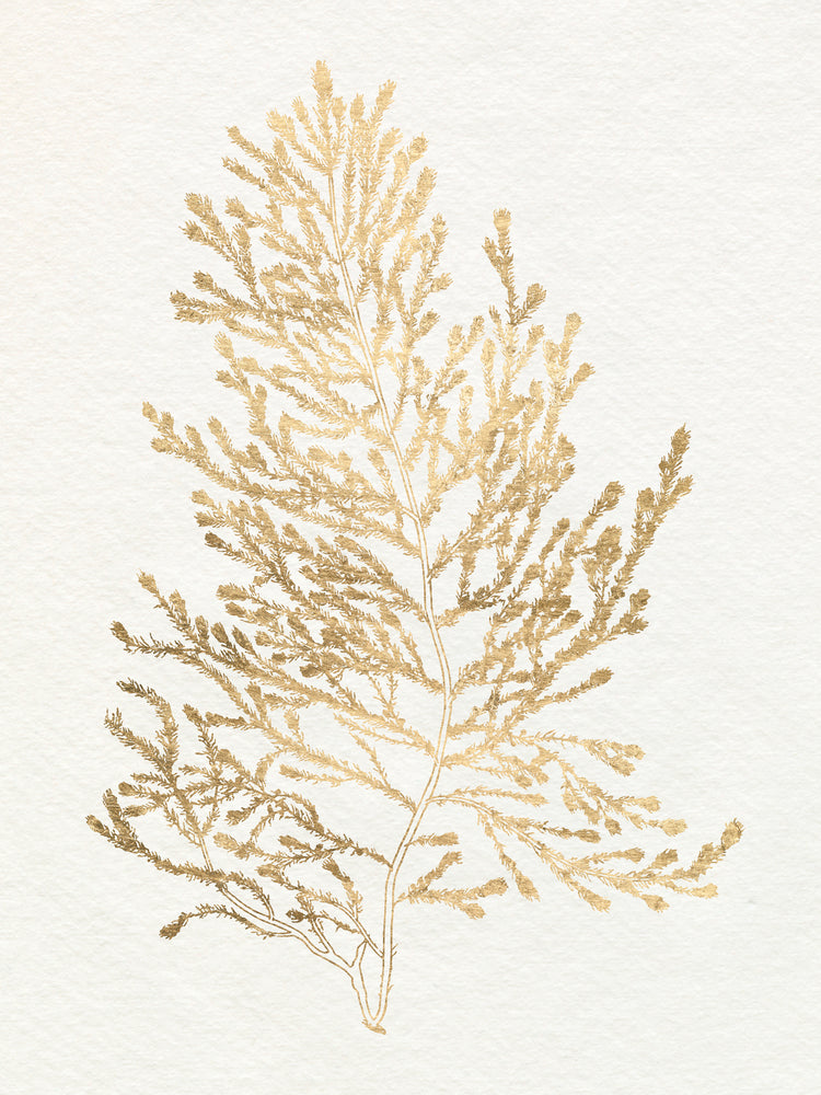 Gilded Algae IV