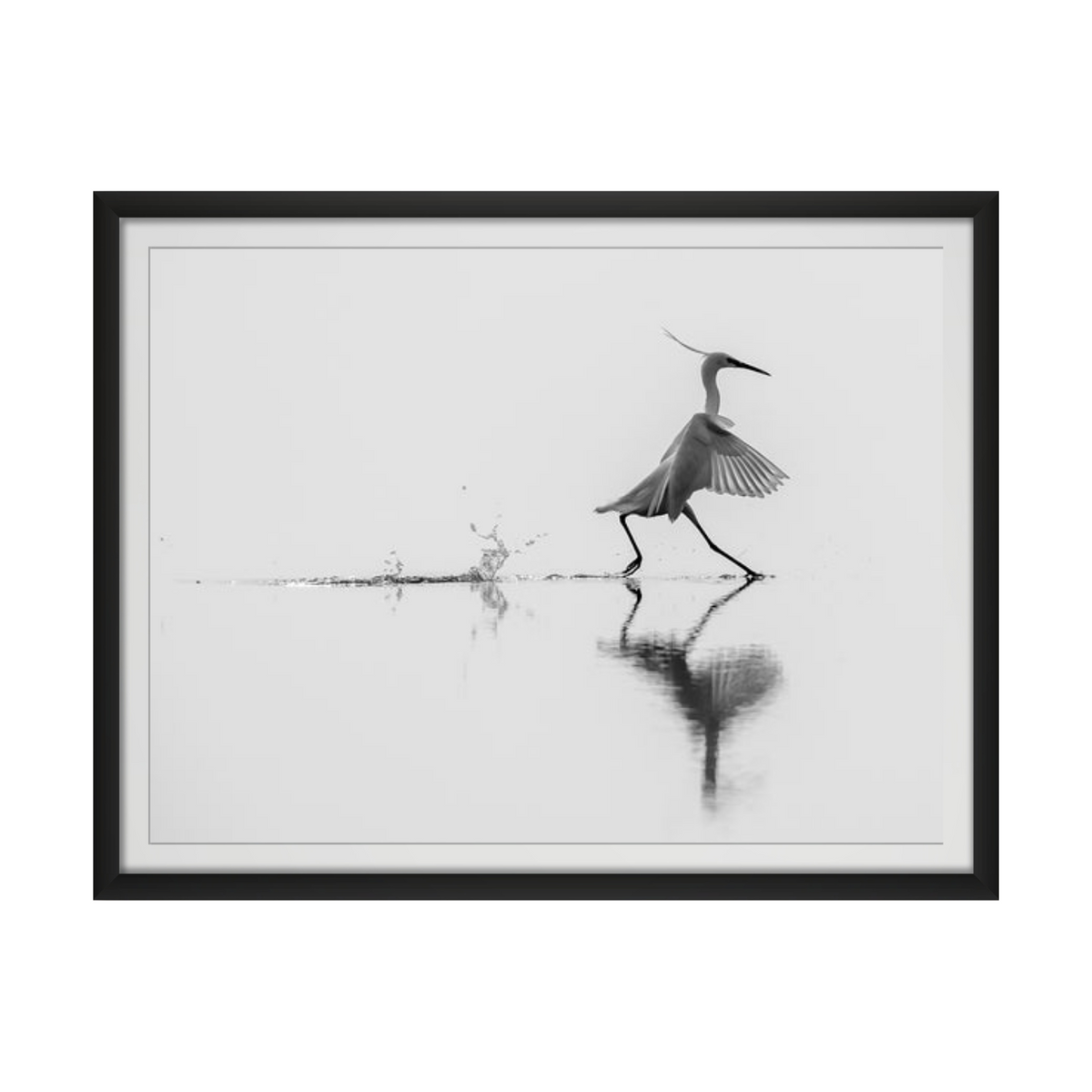 Dancing on water