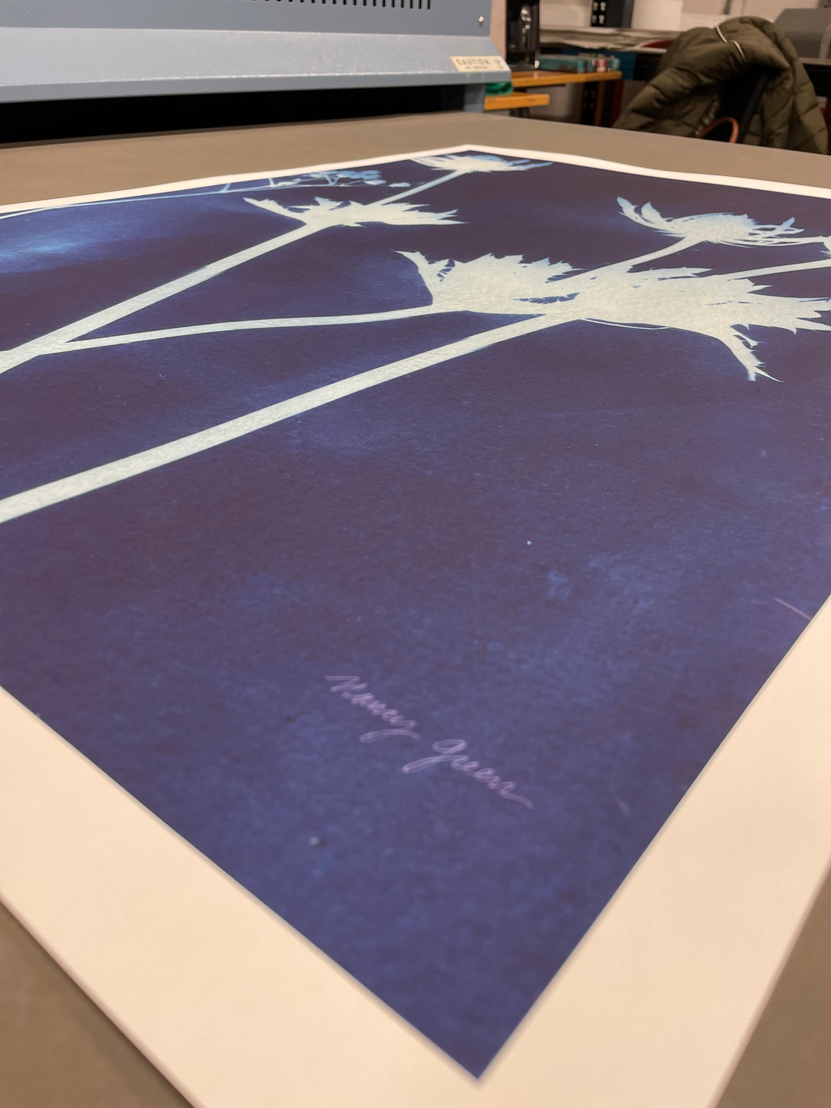 Enchanted Cyanotype I